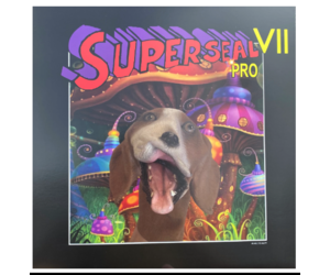 thud-rumble-superseal-vii-