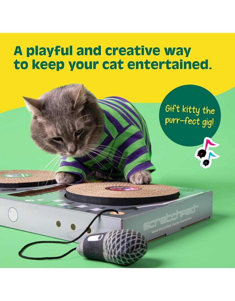 DJ Scratchpad: DJ Turntable Cat Scratcher