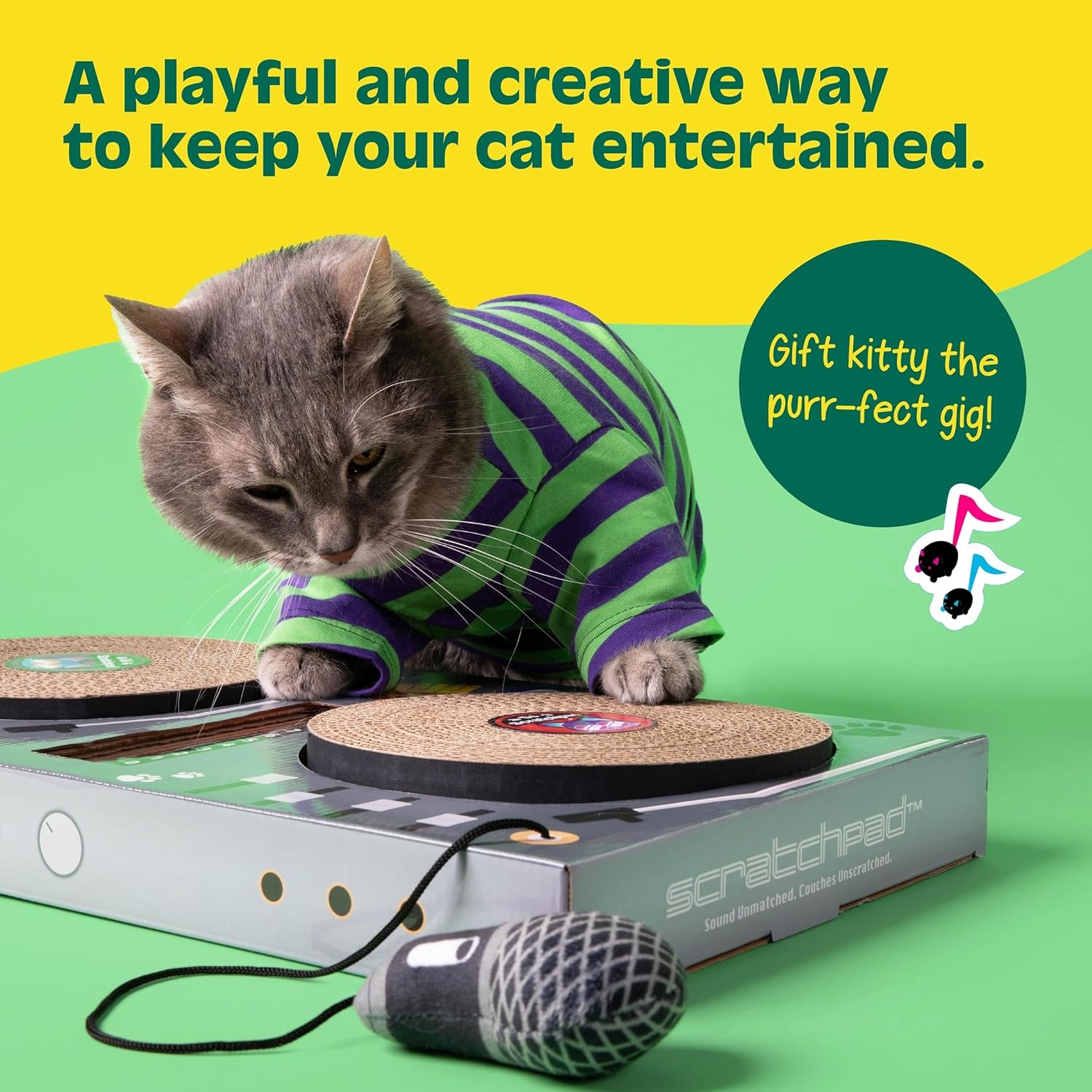 Pet How To Keep Your Kitten Entertained Small Apartment How To