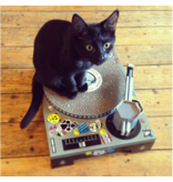 Cat Scratching Pad DJ Deck