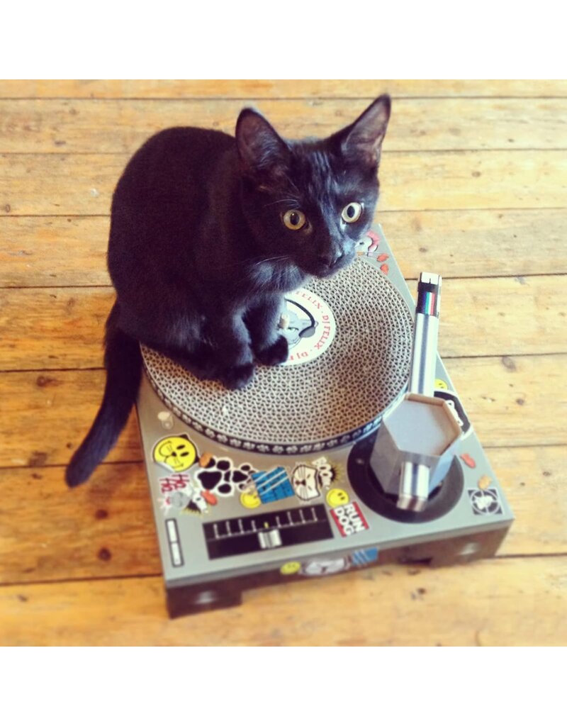 Cat Scratching Pad DJ Deck