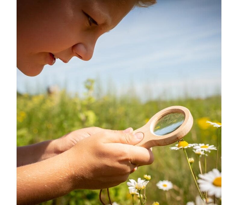 Huckleberry Dual Magnifier