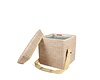 Wicker Picnic Cooler Seat