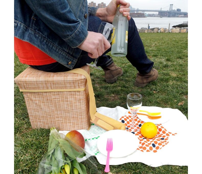 Wicker Picnic Cooler Seat