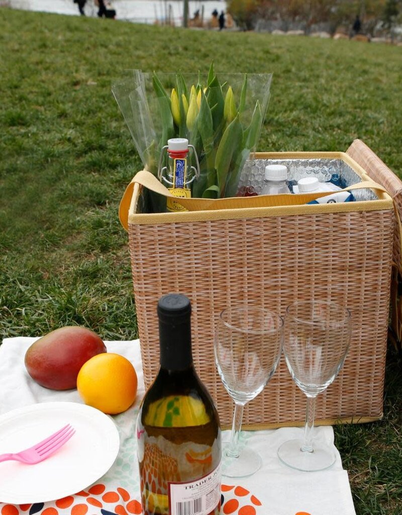 Kikkerland Designs Wicker Picnic Cooler Seat