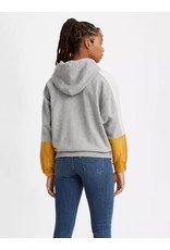 levis colorblock hoodie