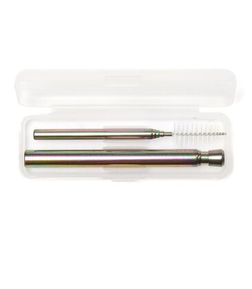 Iridescent Travel Straw Set
