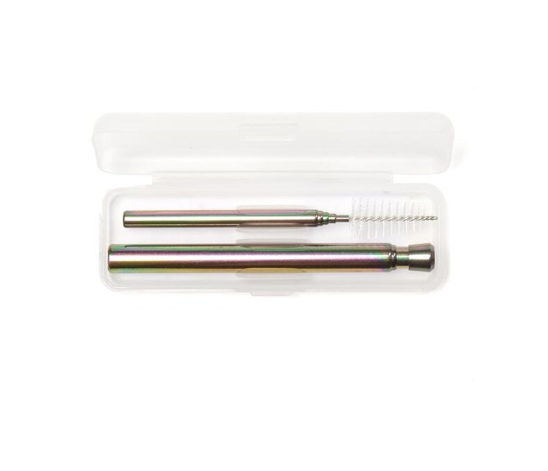 Iridescent Travel Straw Set
