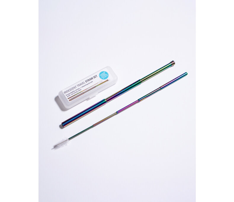 Iridescent Travel Straw Set