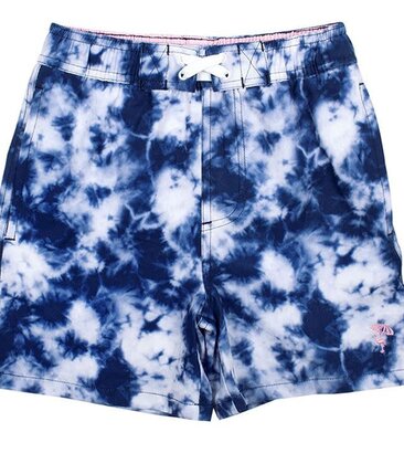 Little Boys Swim Trunks