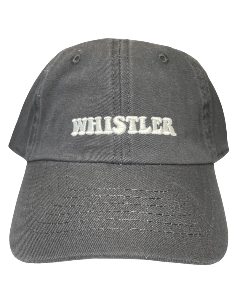 The Circle Circle Kids Whistler Cotton Dad hat