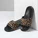 Leopard Fur