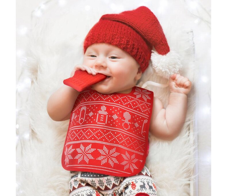 Dressed to Spill Bib