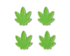 Mini Seaweed
