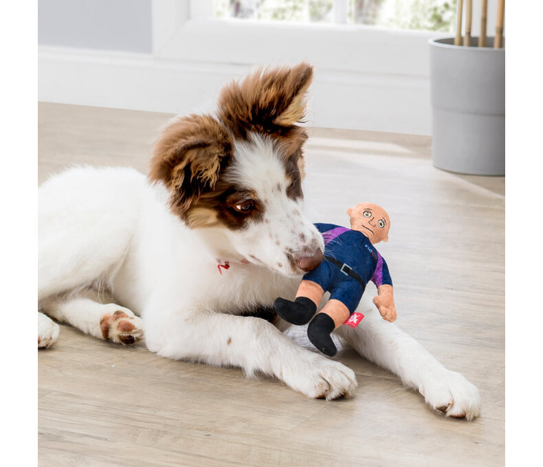 Squeeky Plush Toy