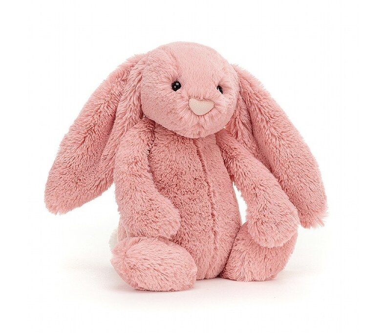 Bashful Bunny