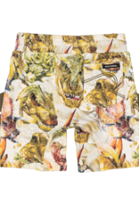 Rock Your Baby Triassic Shorts