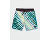 Big Boys Beach Bunch Trunks