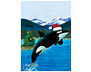 Leaping Orca Card