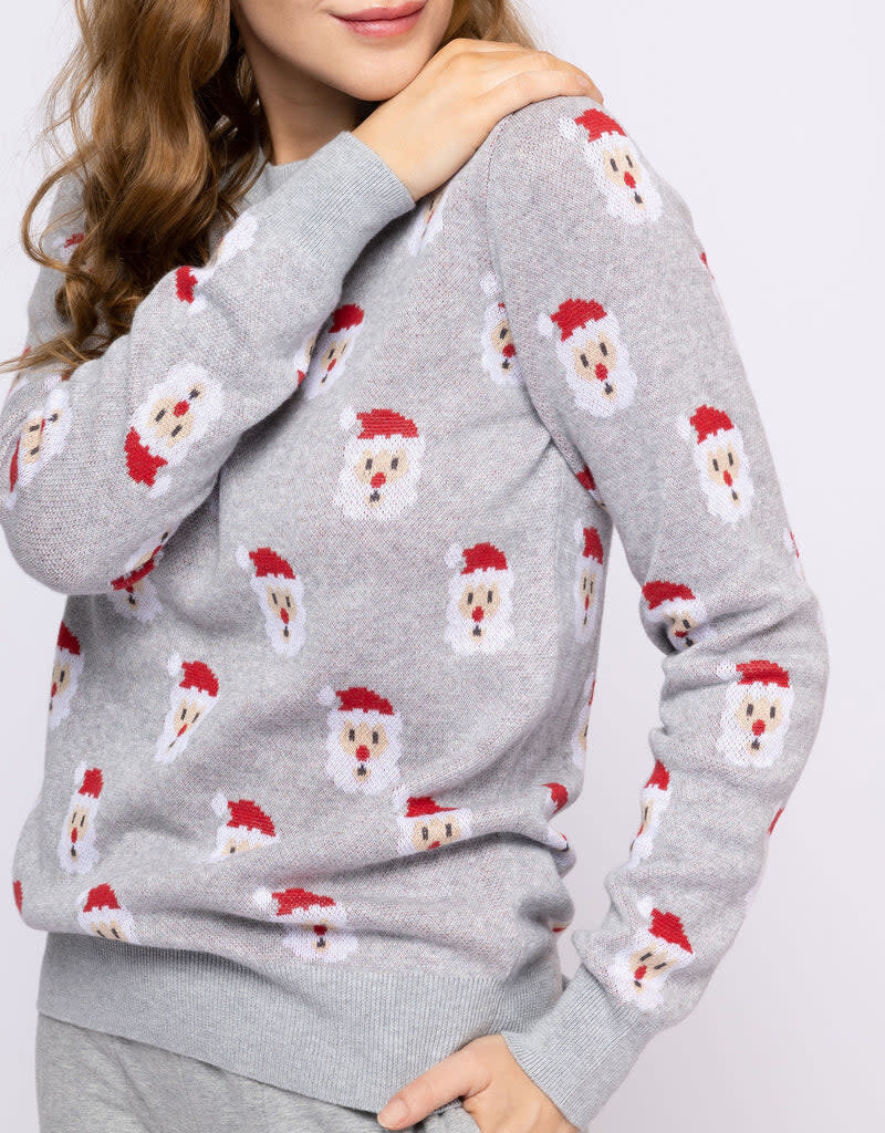 Petit Lem Santa Print Womens Knit Sweater