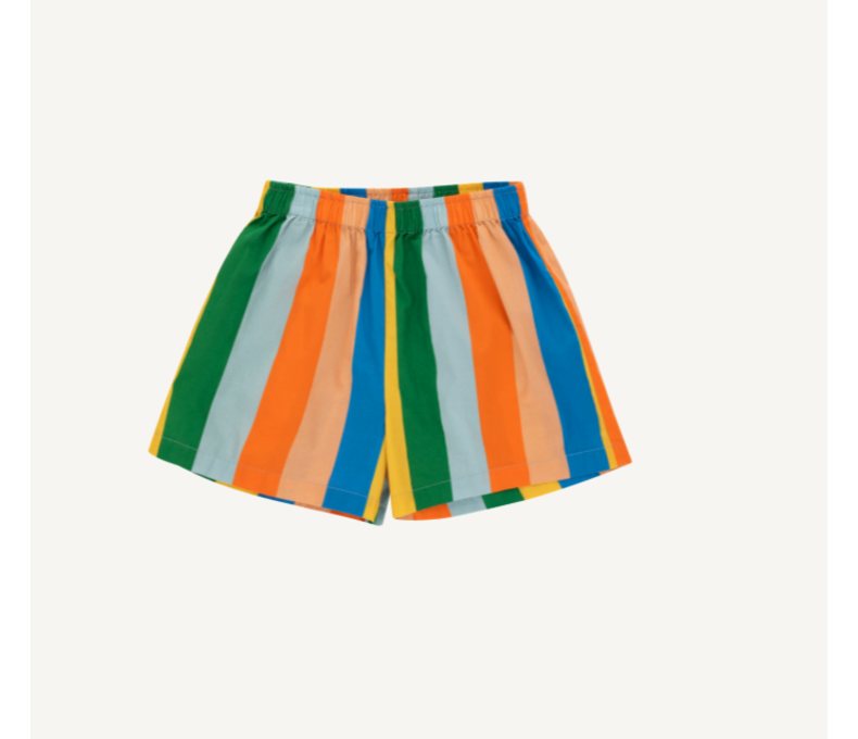 Multicolor Stripes Long Short
