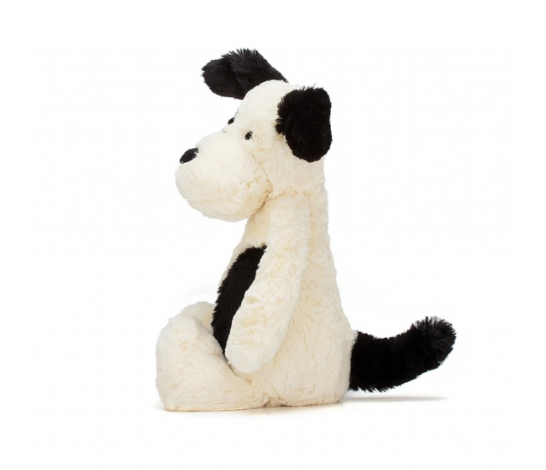 Bashful Black & Cream Puppy