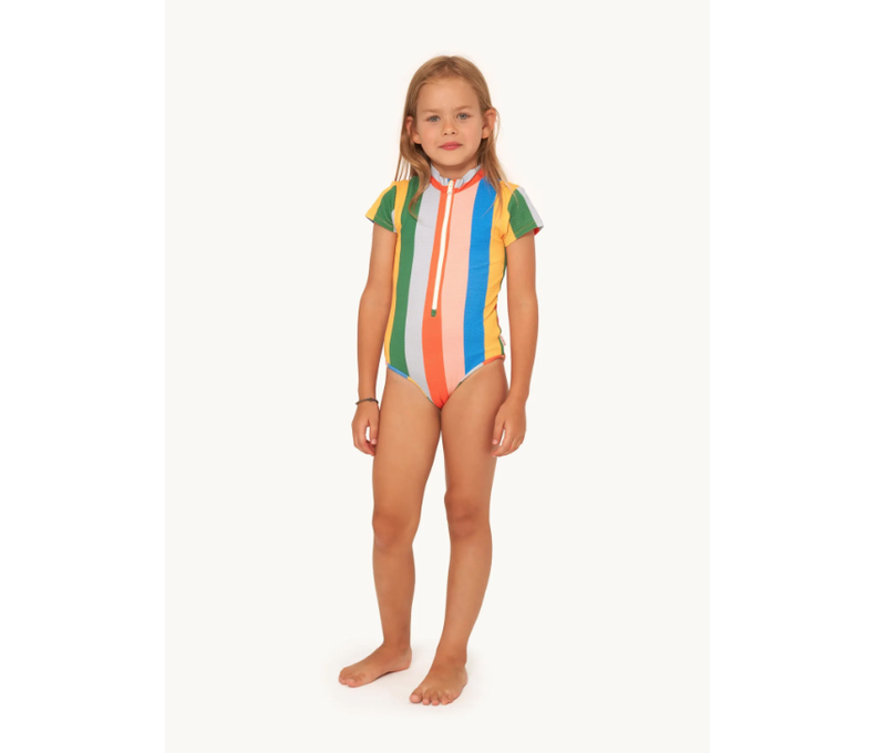Multi Colour Stripes Swimsuit short Sleeve