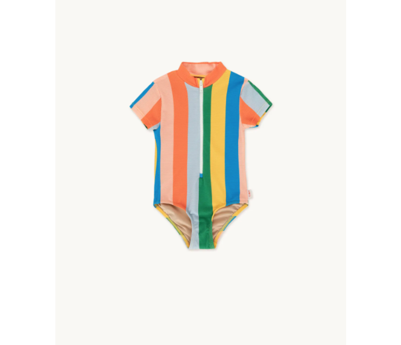 Multi Colour Stripes Swimsuit short Sleeve