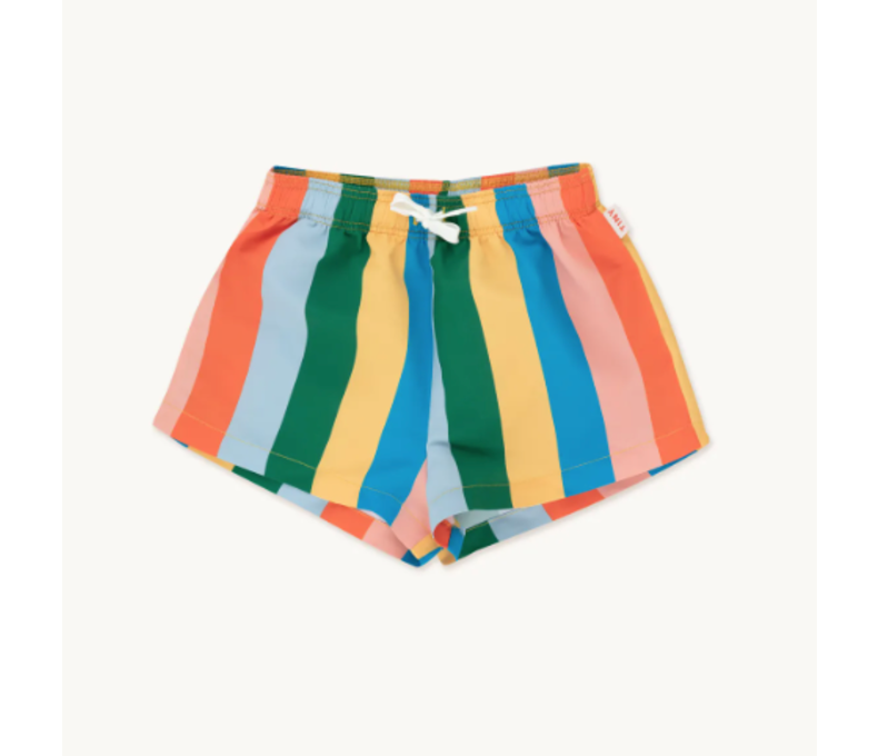 Multi Colour Stripes Trunks
