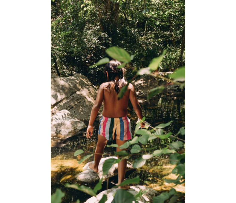 Multi Colour Stripes Trunks