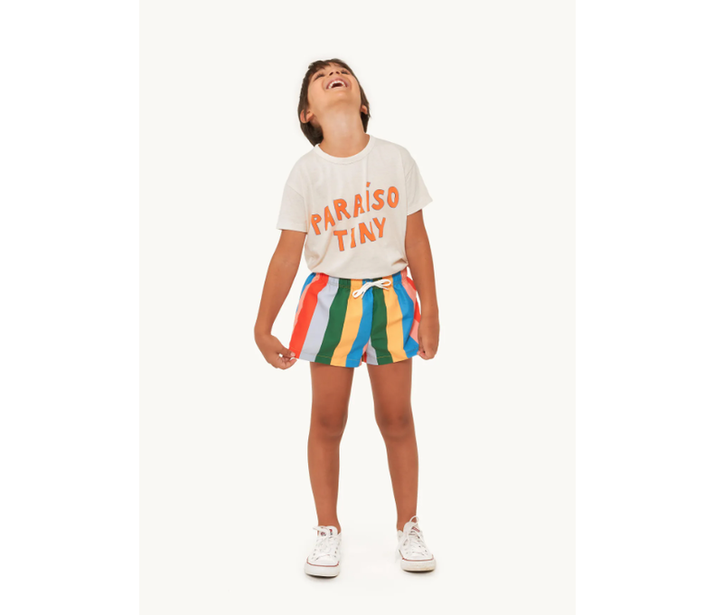 Multi Colour Stripes Trunks