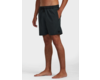 VA Pigment Elastic Boardshorts 17"