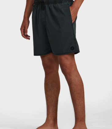 VA Pigment Elastic Boardshorts 17"