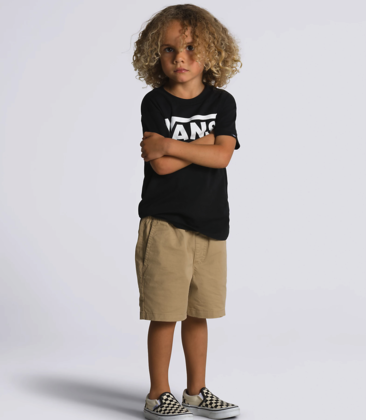 Little Boys Range Elastic Waist Shorts
