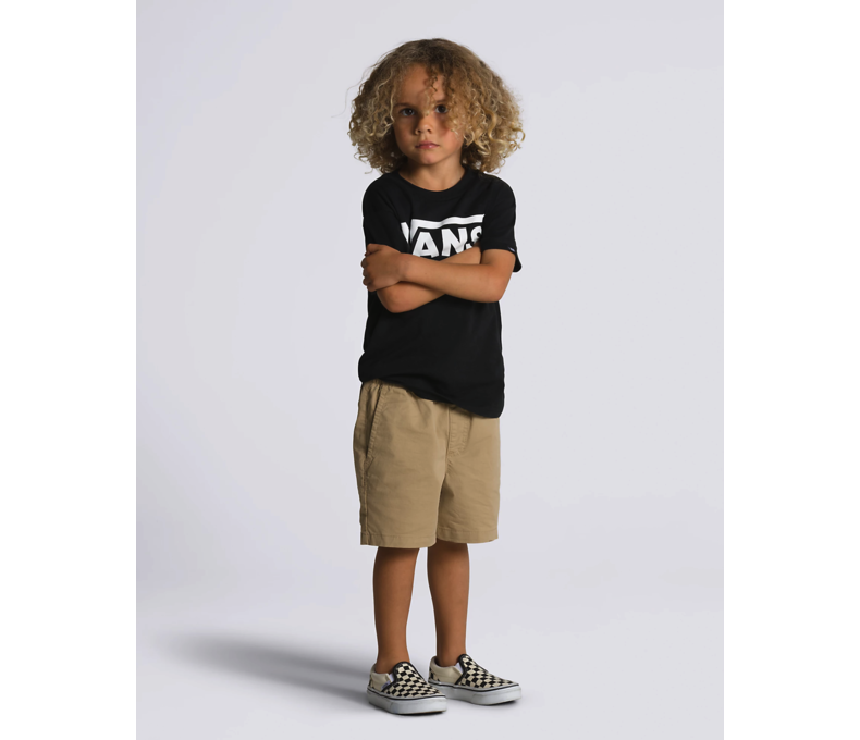 Little Boys Range Elastic Waist Shorts