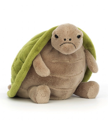 Timmy Turtle