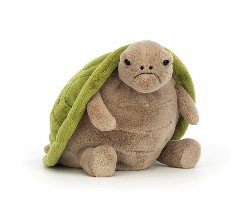 Timmy Turtle