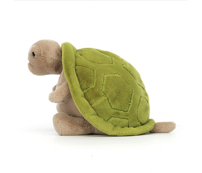 Timmy Turtle