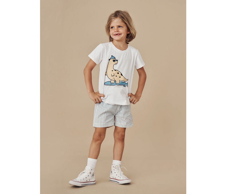 Stripe Reversible Chino Short