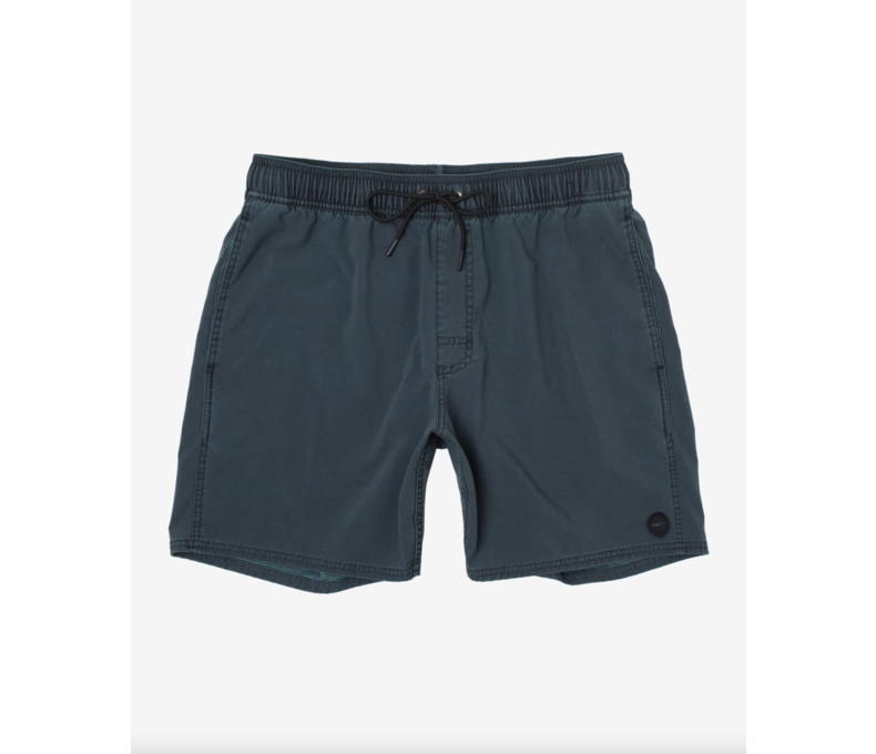 Pigment Elastic Waist Boardshorts