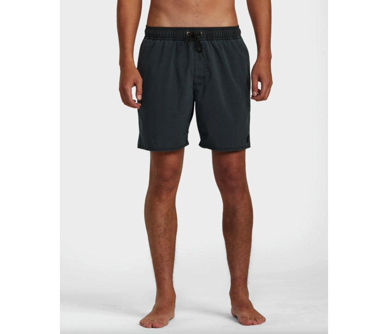 Pigment Elastic Waist Boardshorts