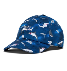 Herschel Supply Co Sylas Kids Cap