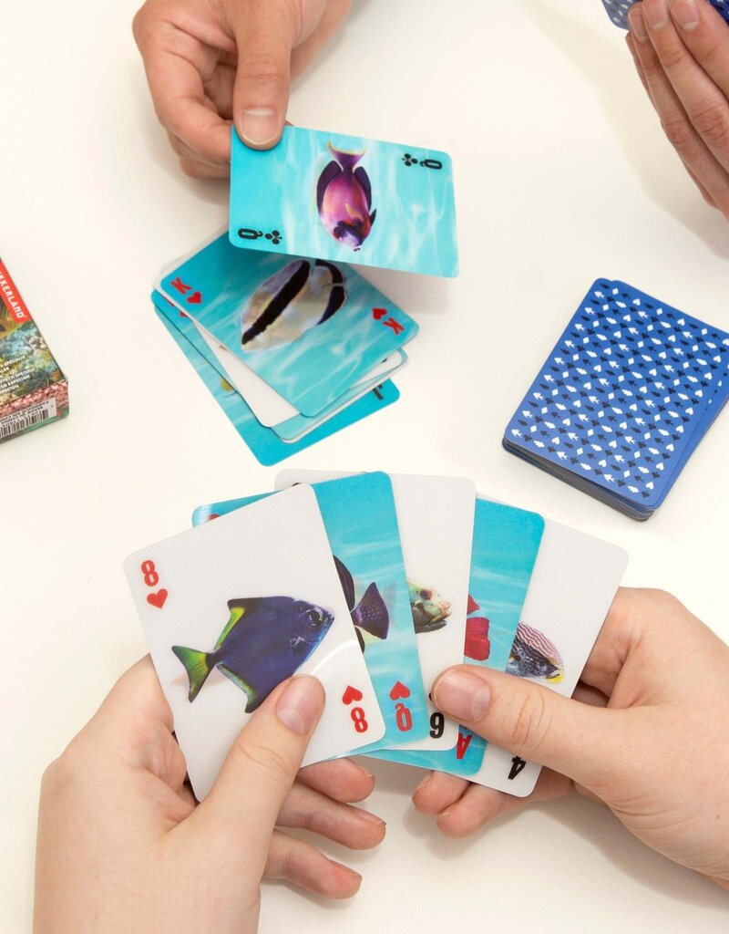 Kikkerland Designs 3-D Fish Cards