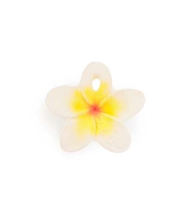 Hawaii the Flower
