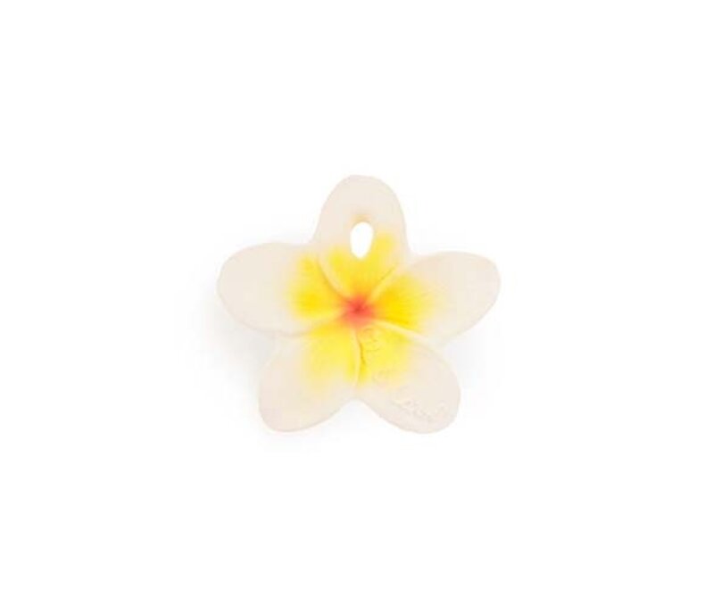 Hawaii the Flower