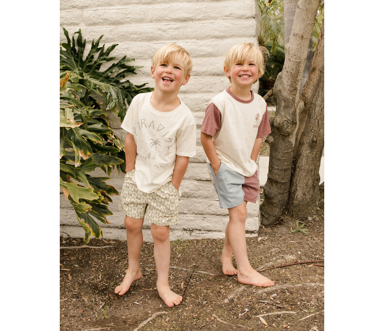Boardshort || Palm Check