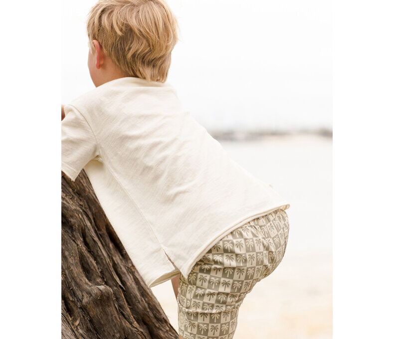Boardshort || Palm Check