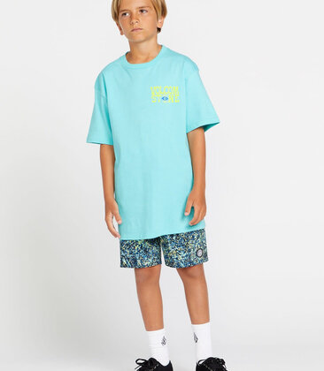 Big Boys Viz Fray Short Sleeve Tee