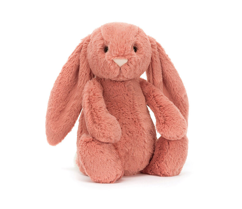 Bashful Bunny