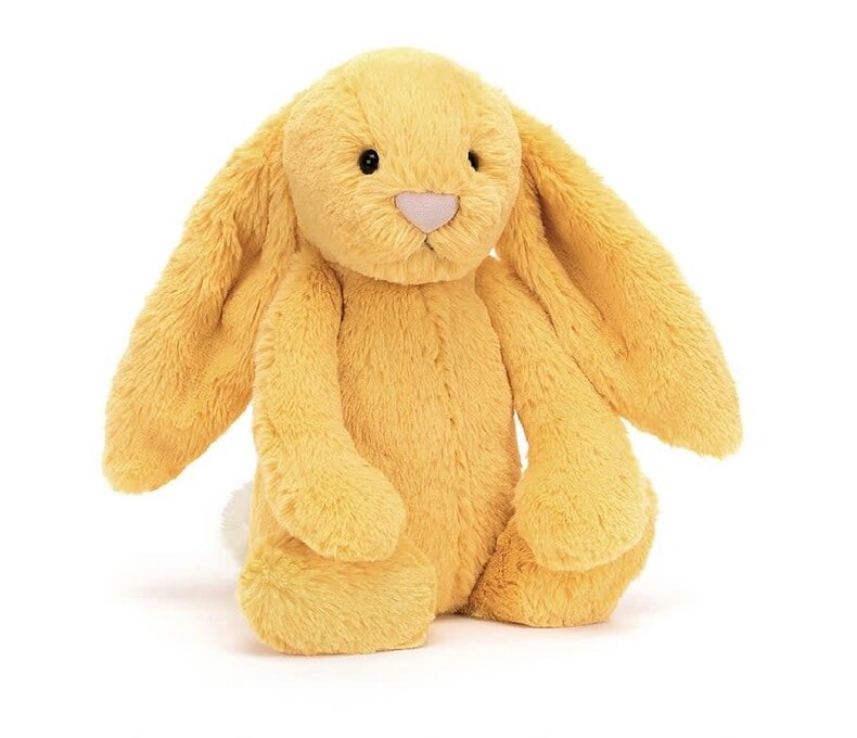 Bashful Bunny
